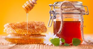 مدارک تجربی فواید فیزیولوژیکی عسل طبیعی